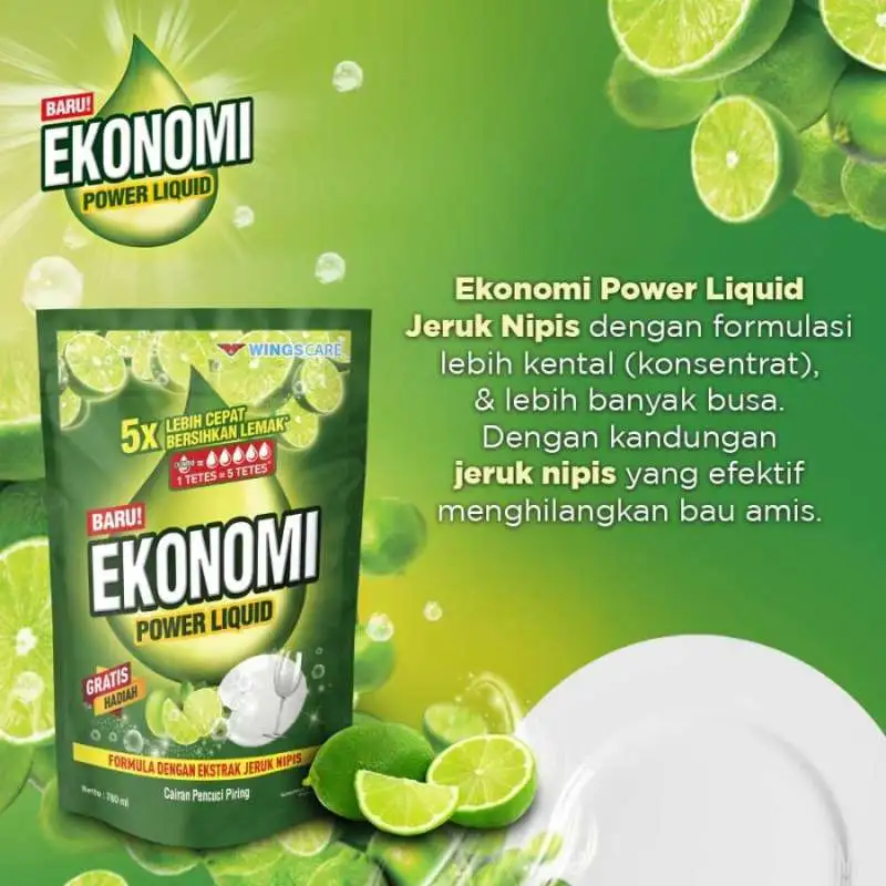 EKONOMI PENCUCI PIRING JUMBO - Gambar Produk